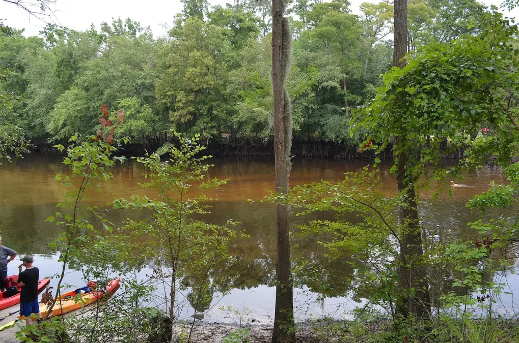 Colleton State Park (South Carolina)