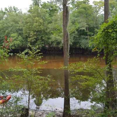 Colleton State Park