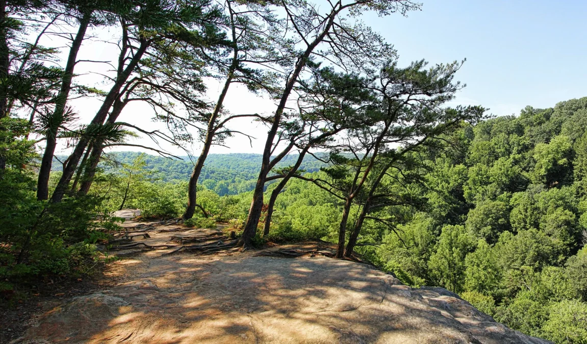 Conkles Hollow State Nature Preserve (Ohio)