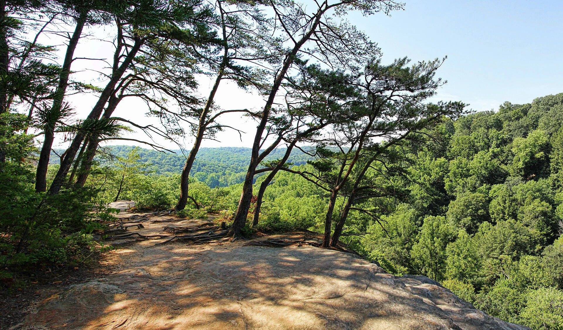 Conkles Hollow State Nature Preserve