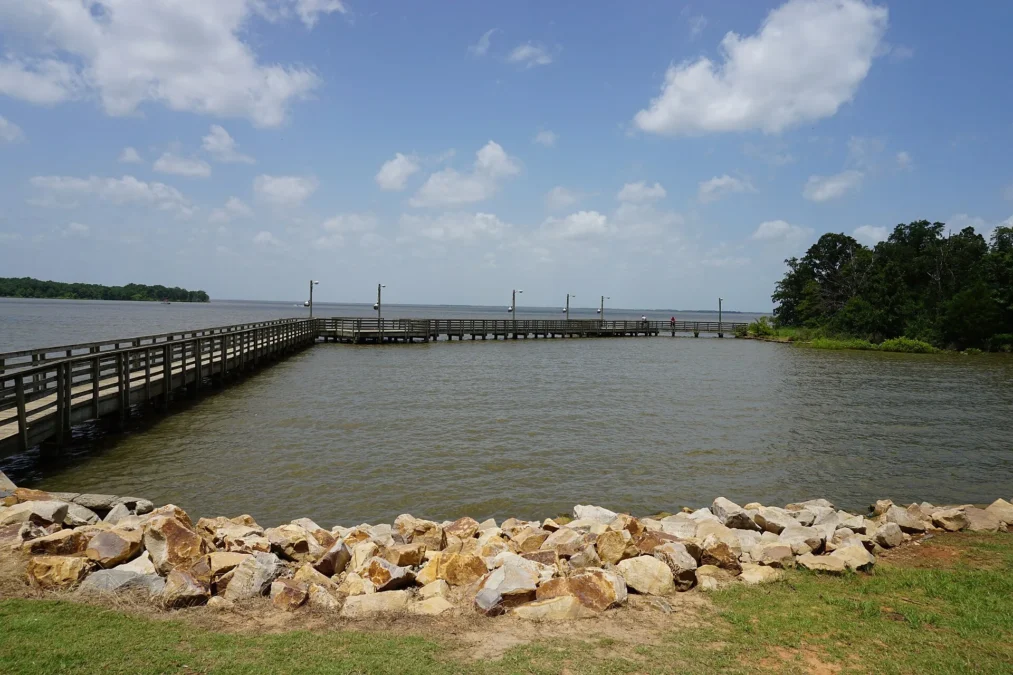 Cooper State Park 20 Fishing pier on Cooper Lake in the South Sulphur unit of Cooper Lake State Park, Texas