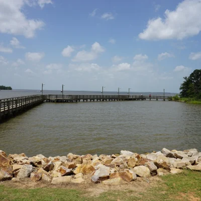 Cooper State Park