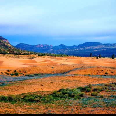 Coral Pink Sand Dunes State Park