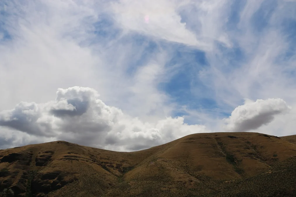 Cottonwood Canyon State Park (Oregon)