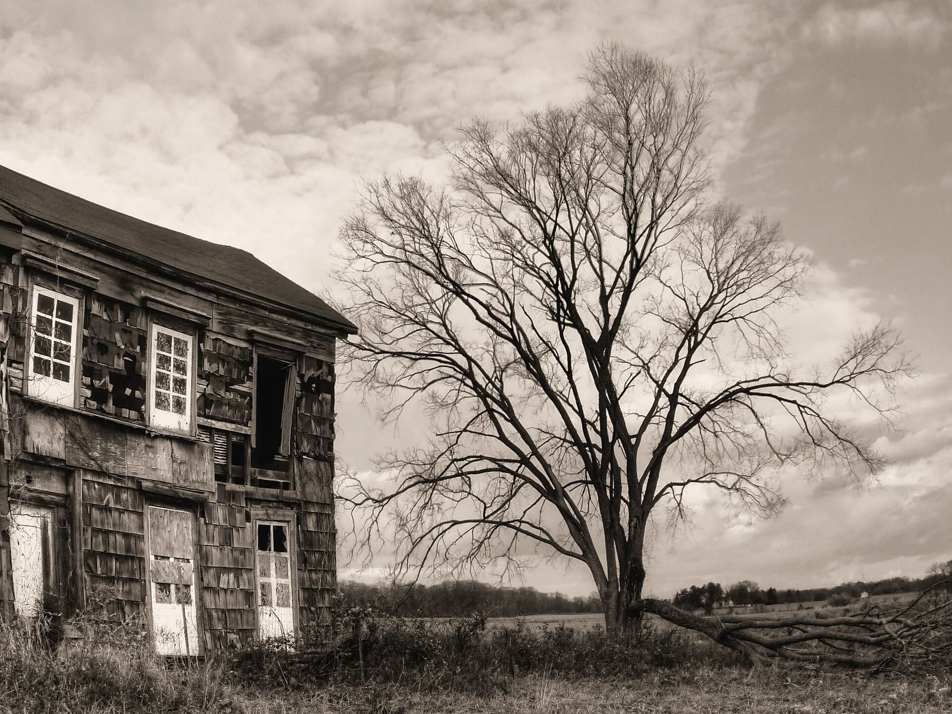 Craig House
