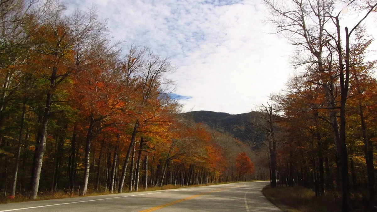 Crawford Notch State Park (New Hampshire)