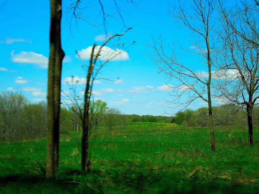 Cross Plains State Park (Wisconsin)