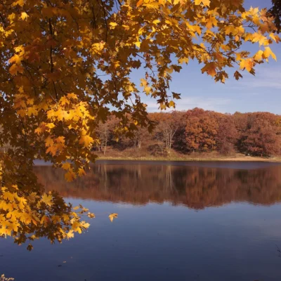 Crowder State Park