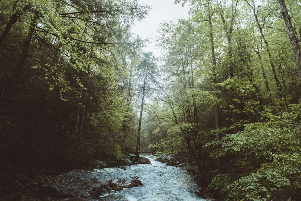 Cumberland Trail State Park (Tennessee)