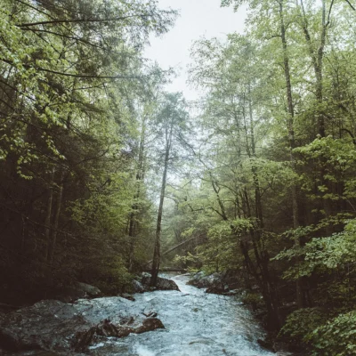 Cumberland Trail State Park