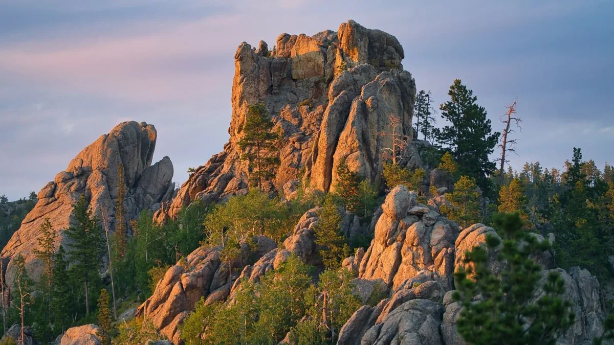 Custer State Park 2 Granite spires in warm evening light at Custer State Park, South Dakota