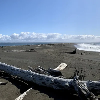 Damon Point State Park