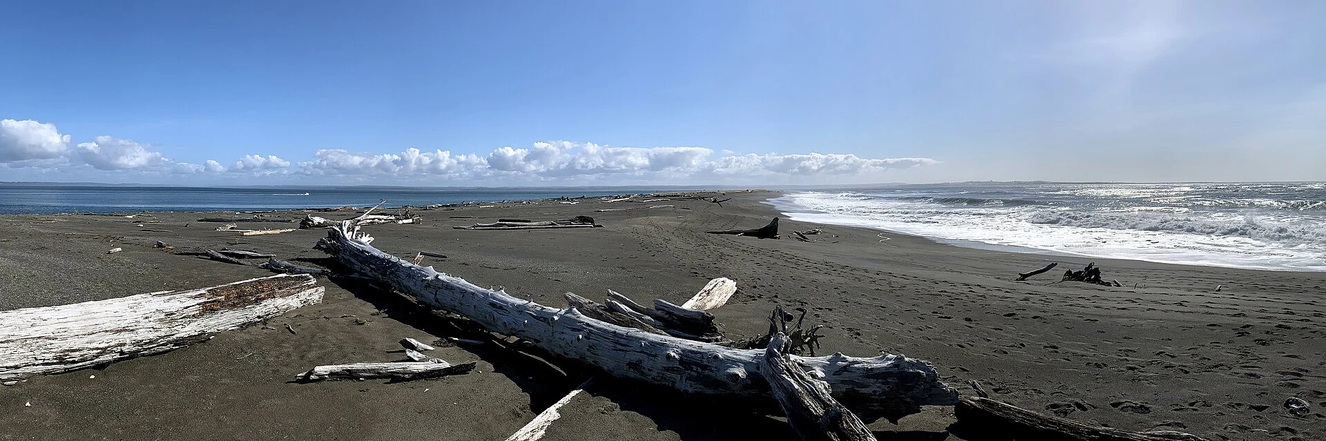 Damon Point State Park