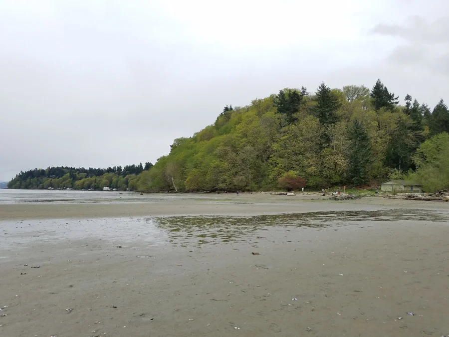 Dash Point State Park 30 Dash Point State Park (Washington)