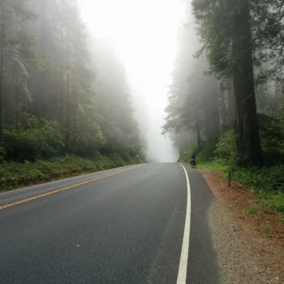 Del Norte Coast Redwoods State Park