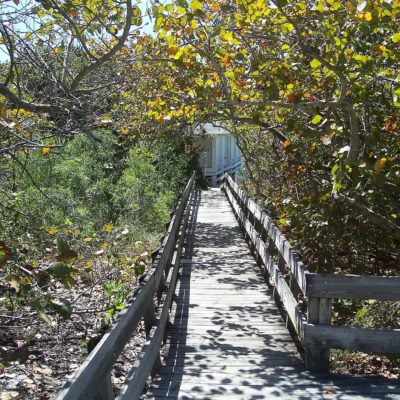 Delnor Wiggins State Park