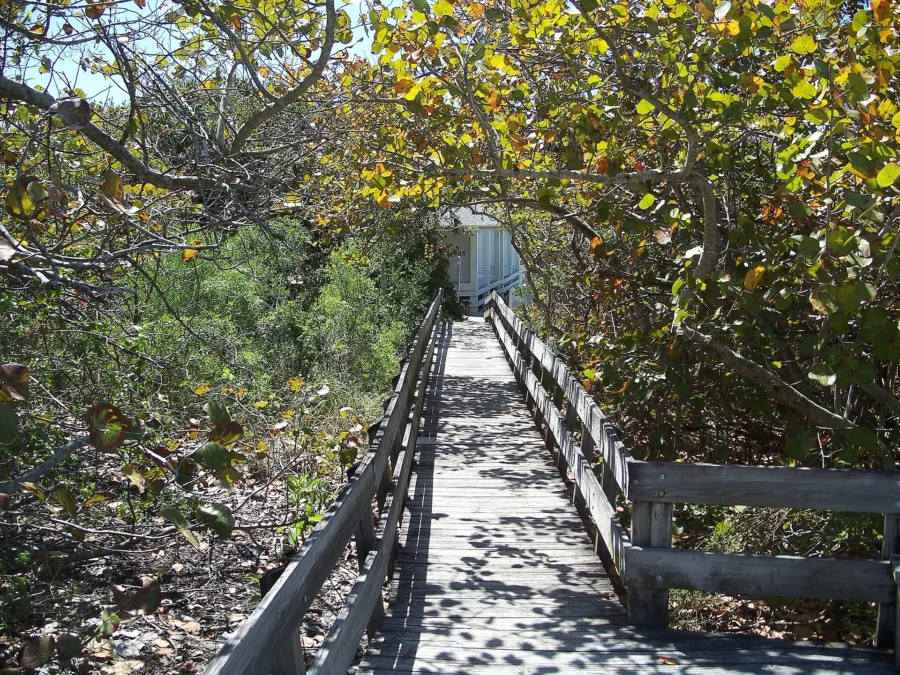 Delnor Wiggins State Park (Florida)