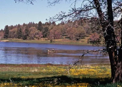 Delta Meadows River Park