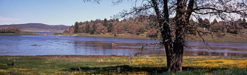 Delta Meadows River Park 68 Delta Meadows River Park (California)