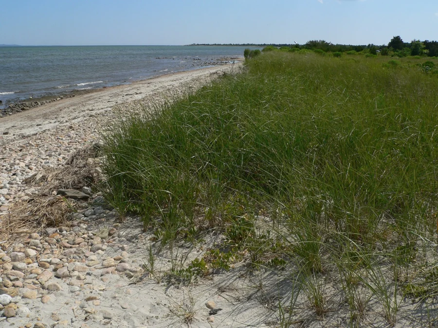 Demarest Lloyd State Park (Massachusetts)