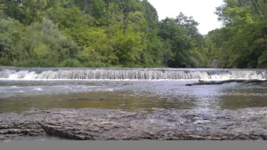 Des Plaines Fish and Wildlife Area
