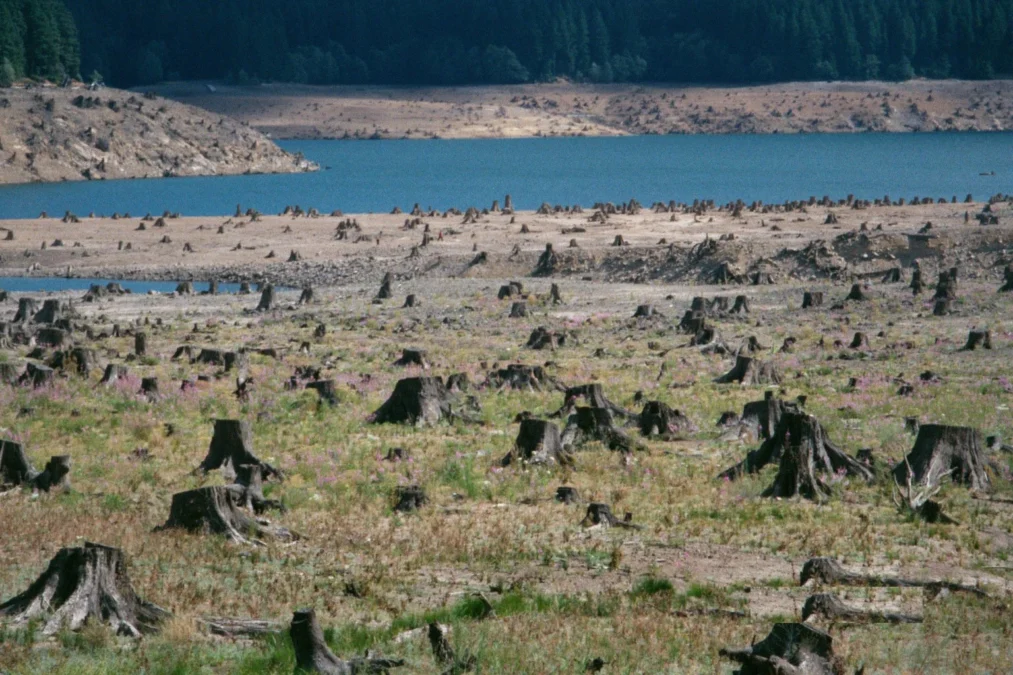 Detroit Lake State Recreation Area (Oregon)