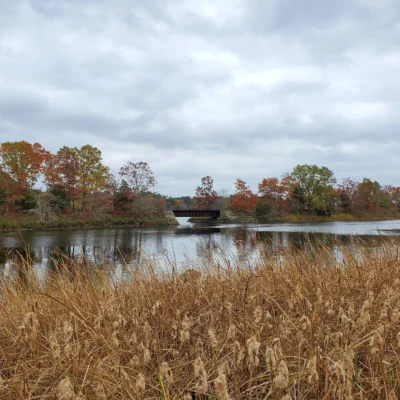 Dighton Rock State Park