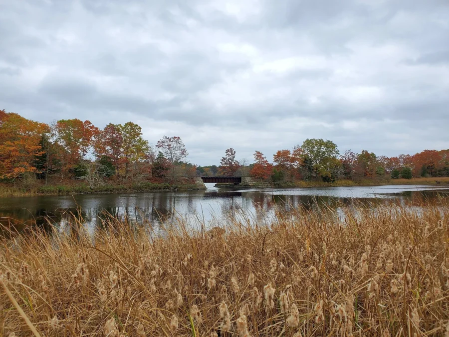 Dighton Rock State Park (Massachusetts)