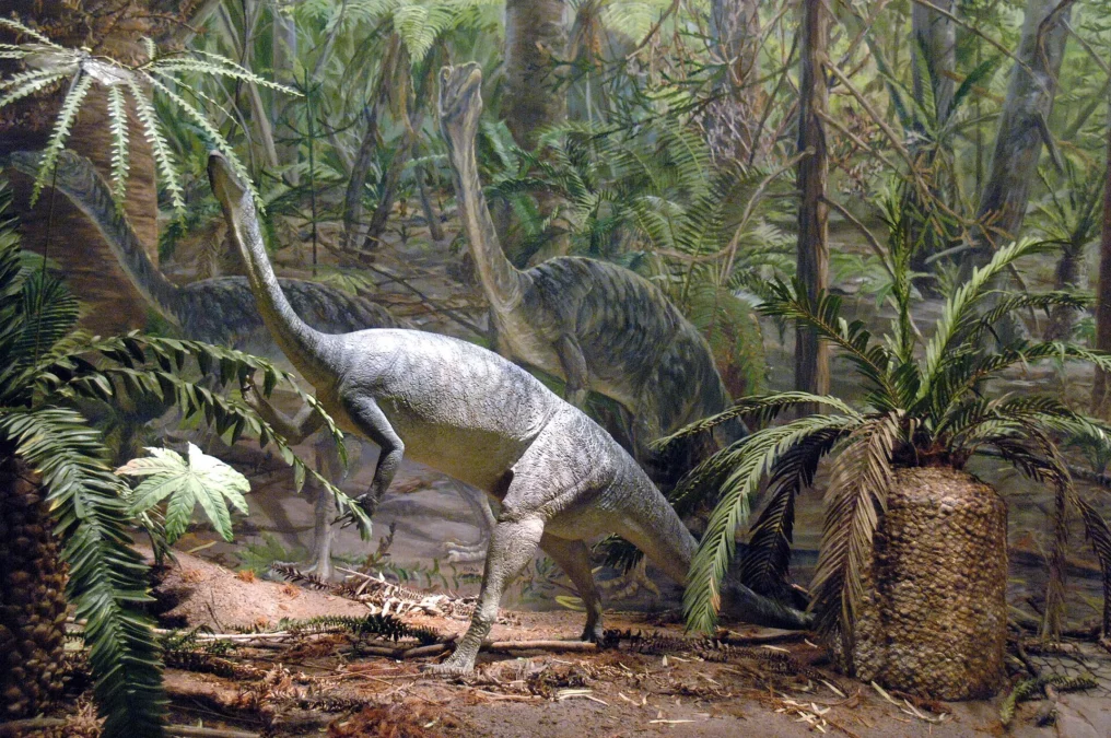 Dinosaur State Park (Connecticut)