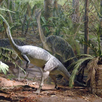 Dinosaur State Park