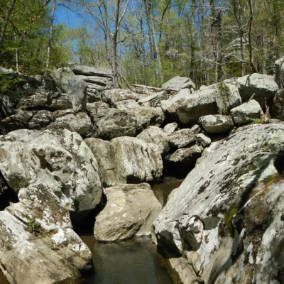 Dixon Springs State Park