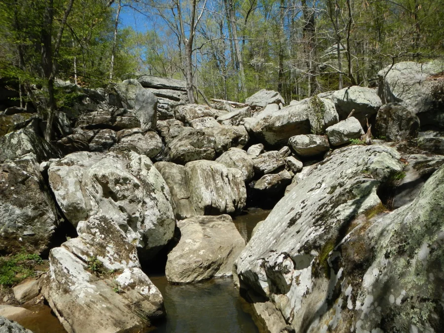 Dixon Springs State Park (Illinois)