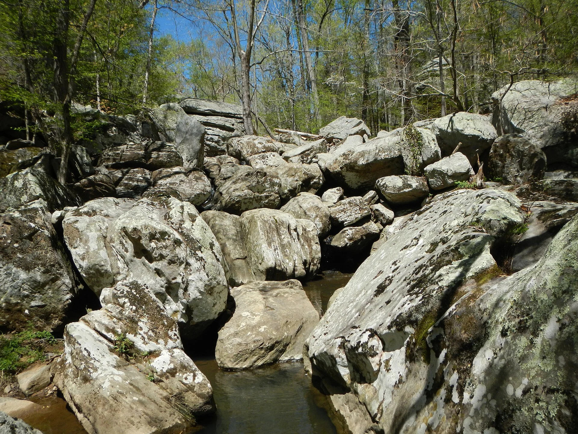 Dixon Springs State Park