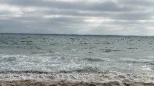 Dockweiler State Beach