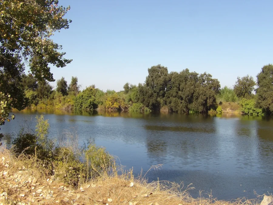 Dos Rios State Park 73 Dos Rios State Park (California)