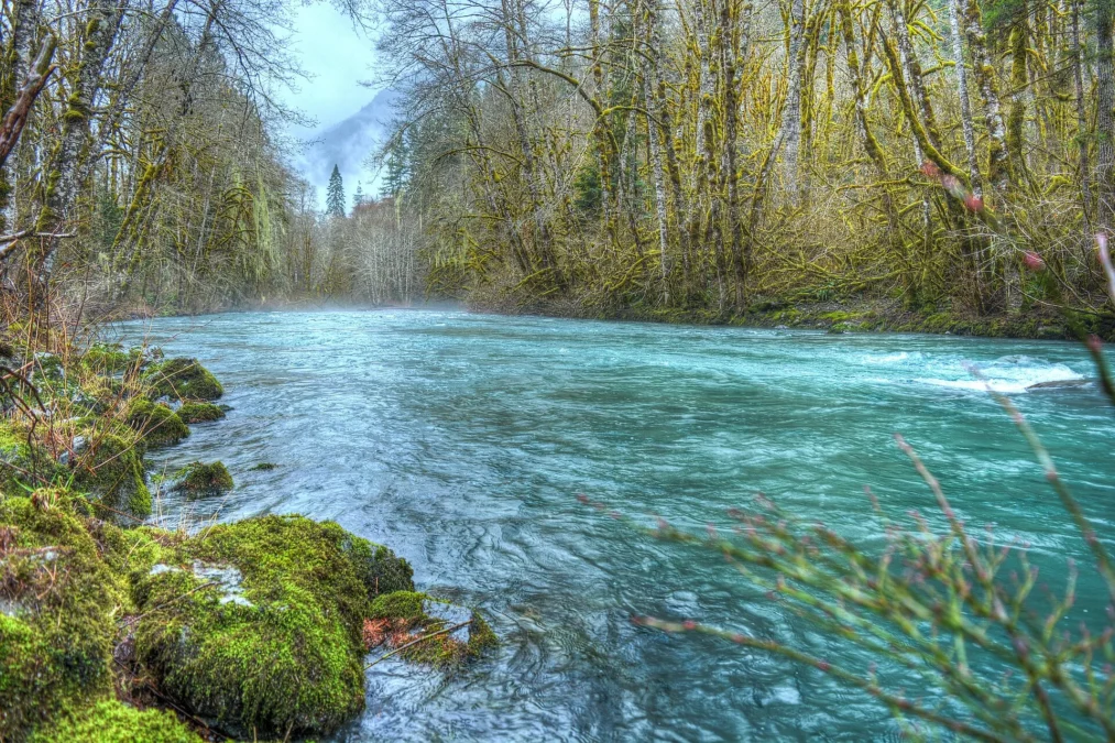 Dosewallips State Park 33 Dosewallips State Park (Washington)