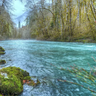 Dosewallips State Park