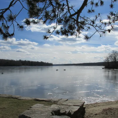 Douglas State Forest