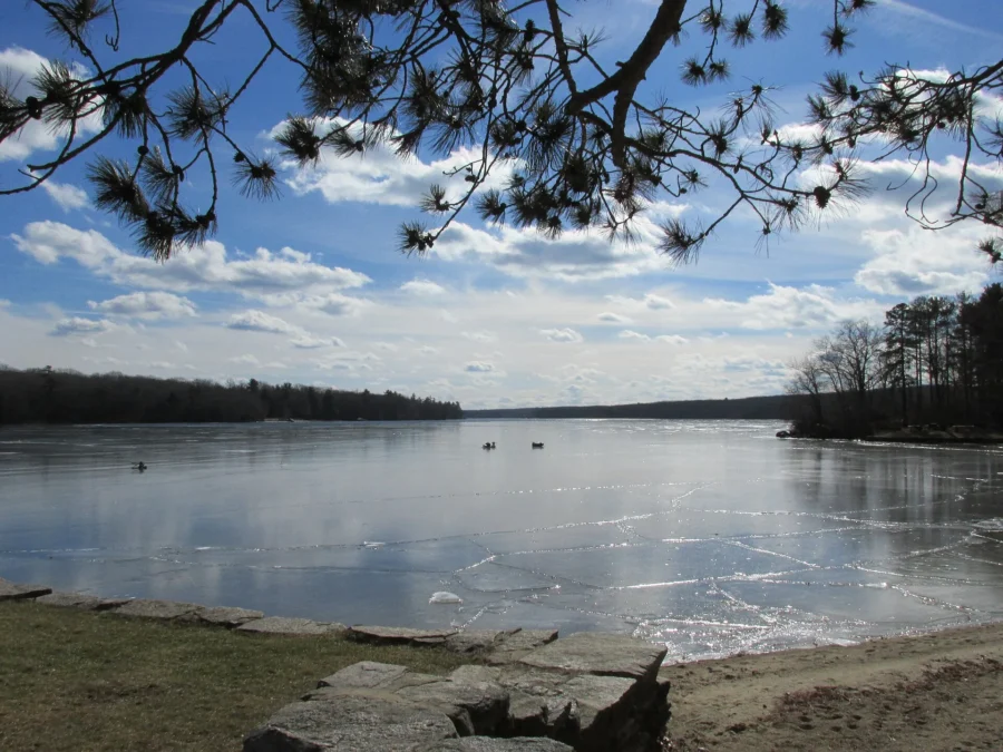 Douglas State Forest 18 Partly frozen Wallum Lake seen from the shore in Douglas State Forest, Massachusetts
