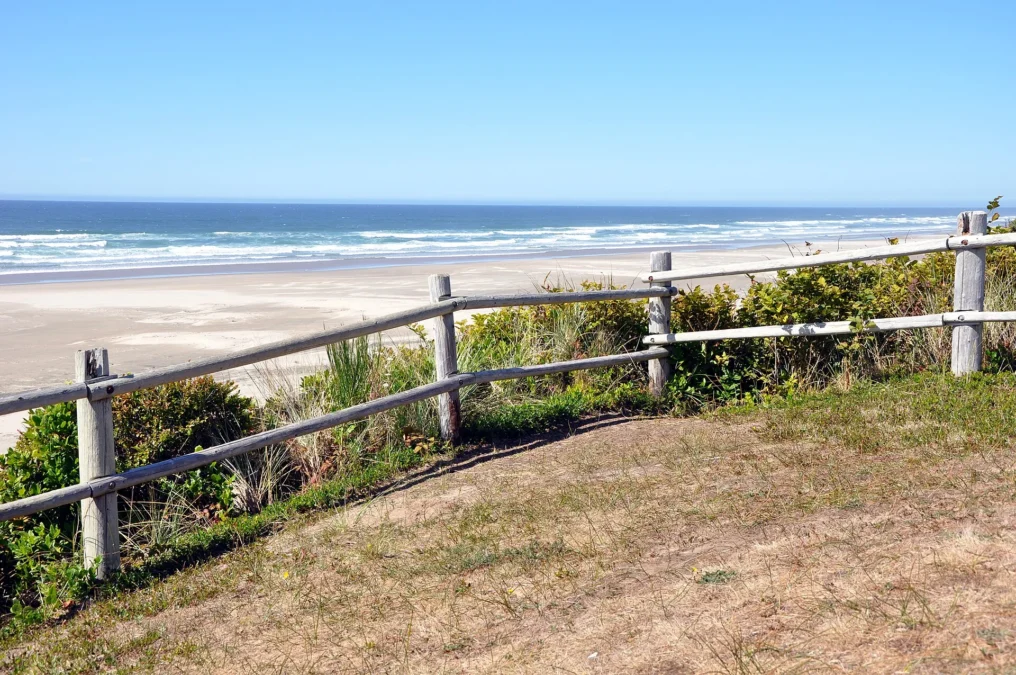 Driftwood Beach State Recreation Site (Oregon)