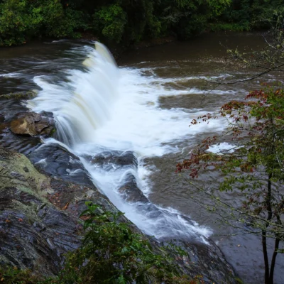DuPont State Recreational Forest