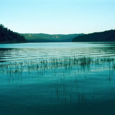Dworshak State Park