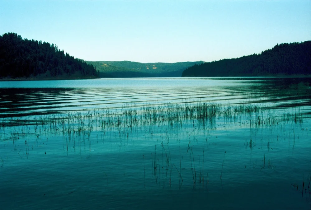 Dworshak State Park (Idaho)