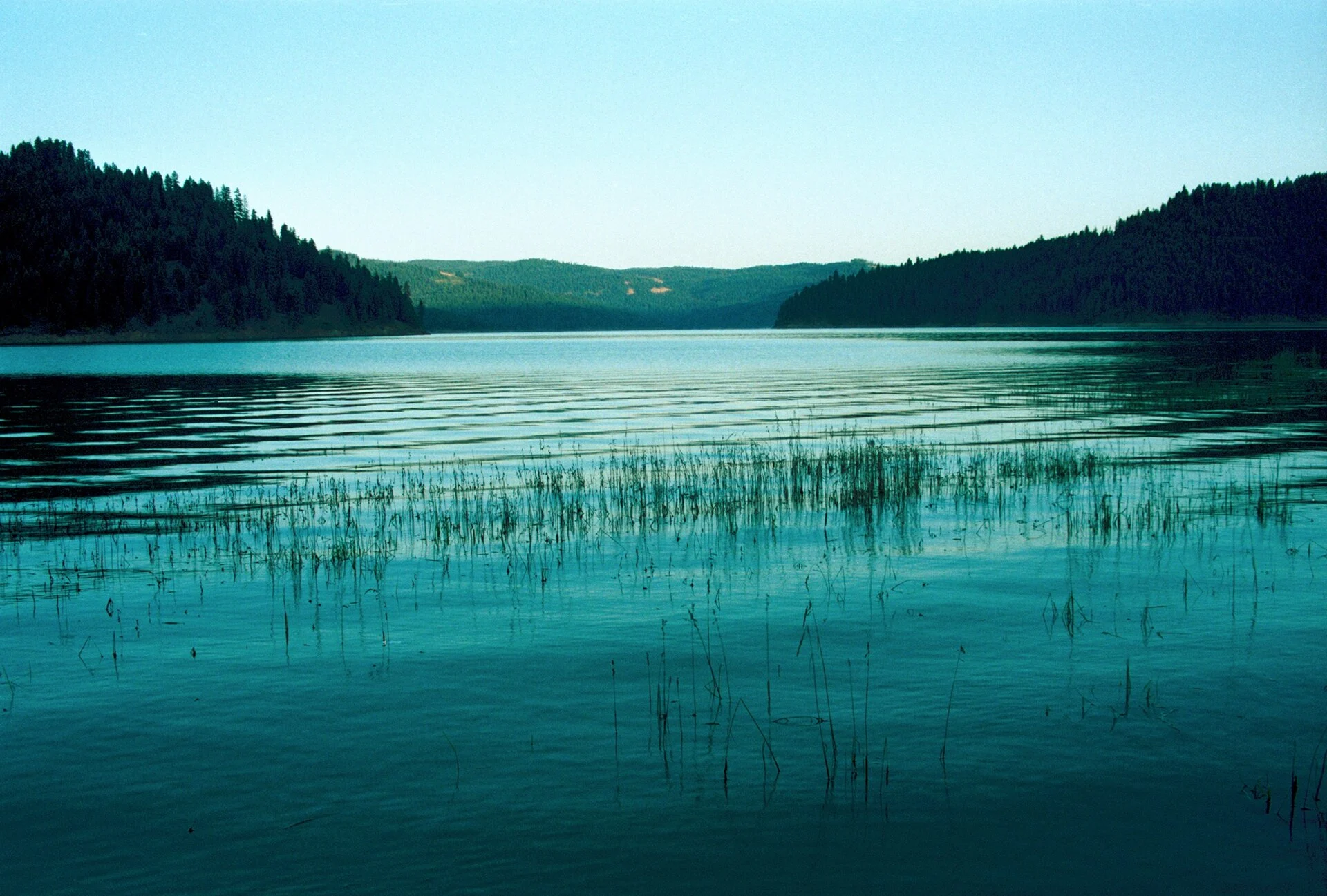 Dworshak State Park