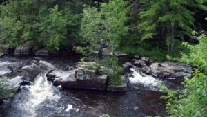 Dells of the Eau Claire County Park