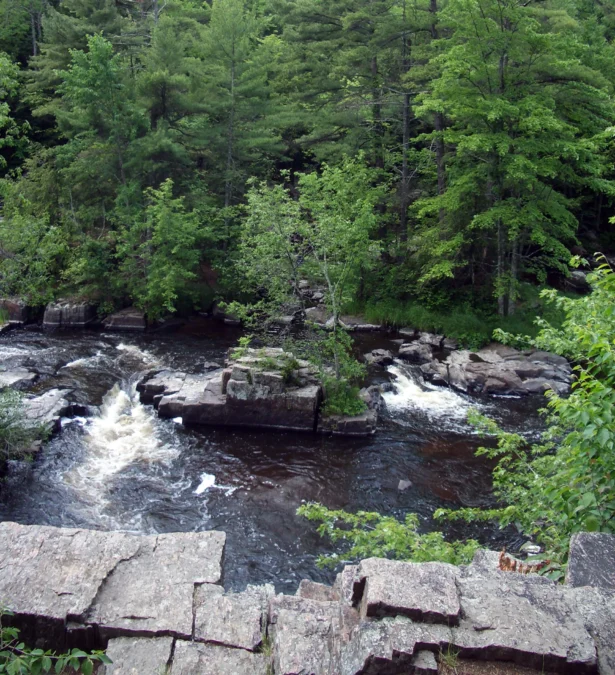 Dells of the Eau Claire (Wisconsin)