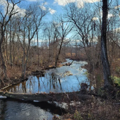 Eightmile River Wildlife Management Area