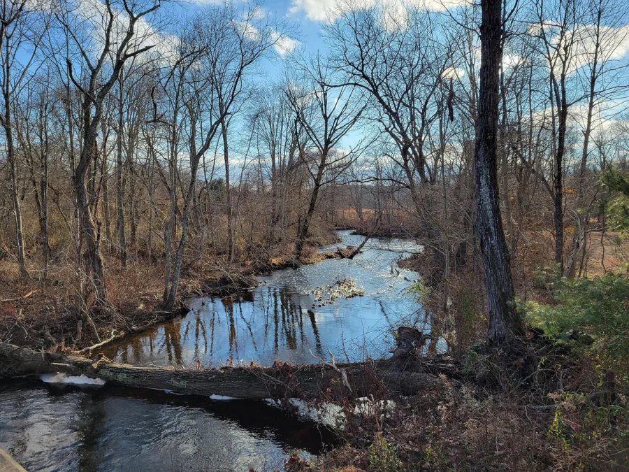 Eightmile River Wildlife Management Area (Connecticut)