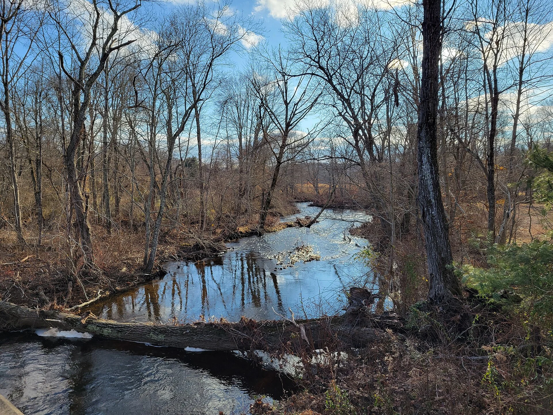 Eightmile River Wildlife Management Area