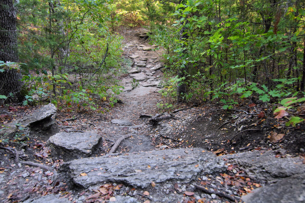 Eisenhower State Park 13 A rocky stretch of Ike's Hike and Bike Trail winding through the woods at Eisenhower State Park, Texas